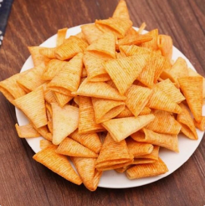 Tortilla Chip Manufacturing Plant